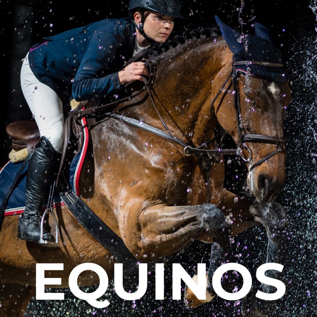 ekijoint_equinos-equine