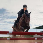 Electrolyte Loss in Horses: What the Evidence Actually Supports