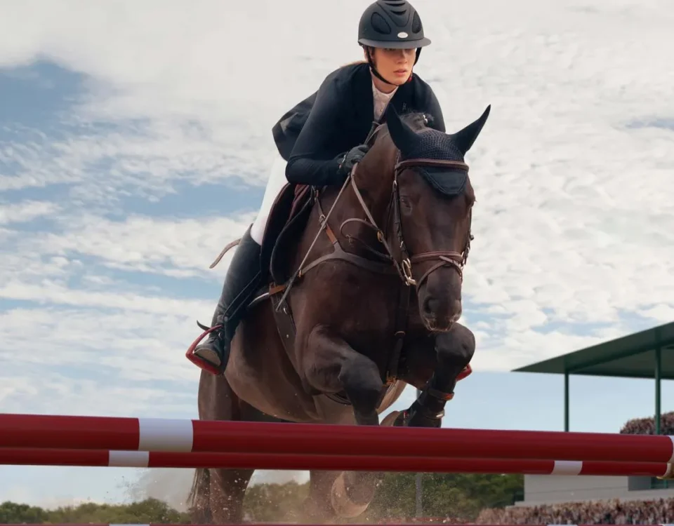 Electrolyte Loss in Horses: What the Evidence Actually Supports